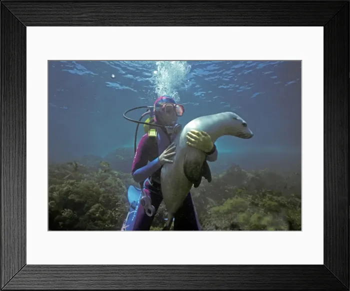 Framed Print : Picture No. 10767520 Framed Print : Picture No. 10767520