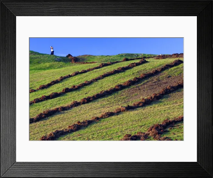 Framed Print : Picture No. 10789181 Framed Print : Picture No. 10789181