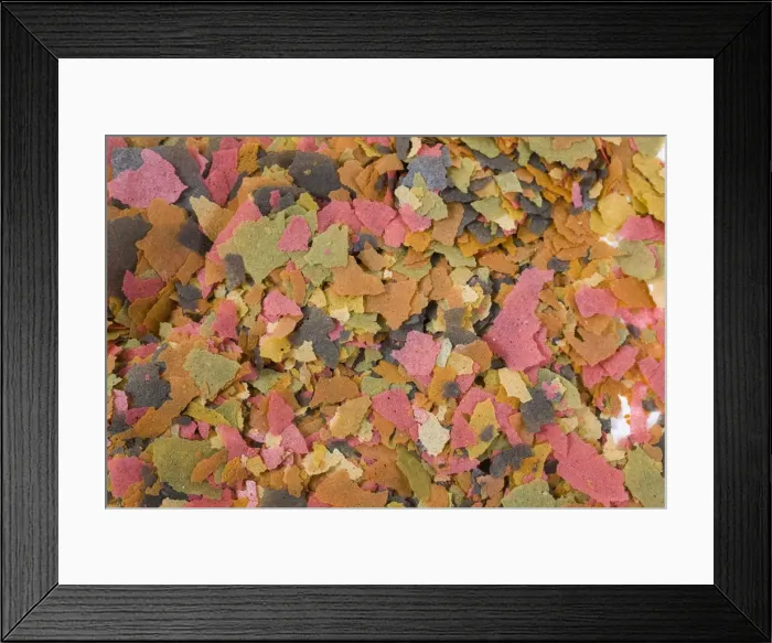Framed Print : Picture No. 10774451 Framed Print : Picture No. 10774451