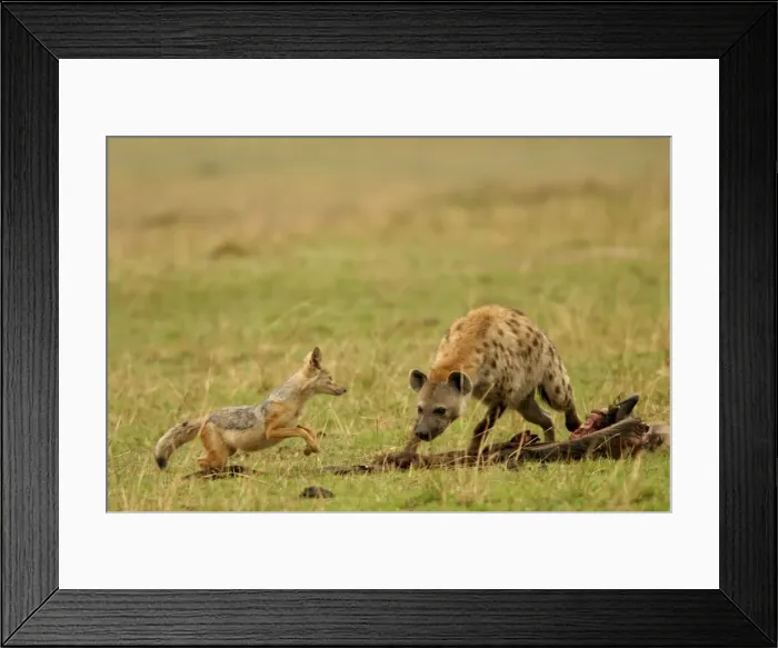 Framed Print : Picture No. 10775693 Framed Print : Picture No. 10775693