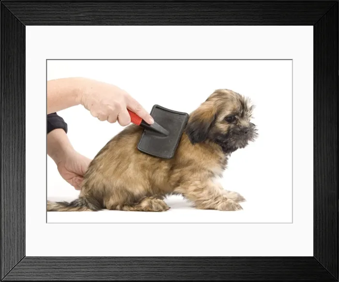 Framed Print : Picture No. 10774672 Framed Print : Picture No. 10774672