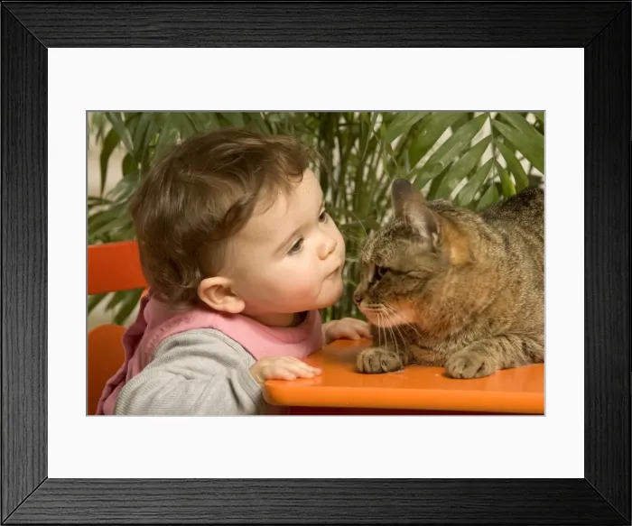 Framed Print : Picture No. 10777049 Framed Print : Picture No. 10777049