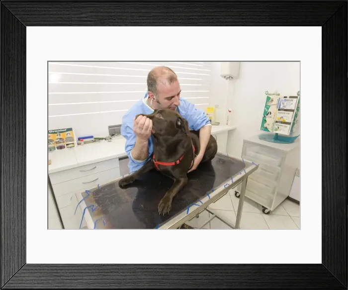 Framed Print : Picture No. 10776608 Framed Print : Picture No. 10776608