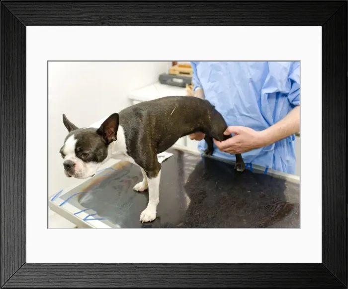 Framed Print : Picture No. 10776612 Framed Print : Picture No. 10776612