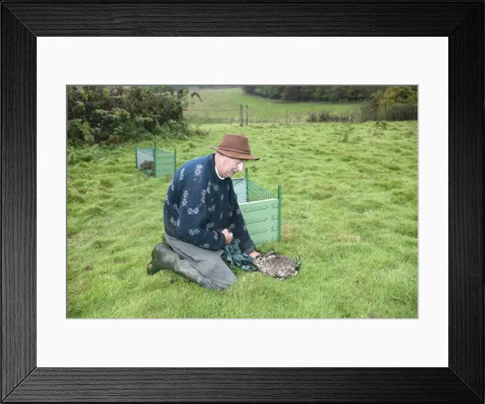 Framed Print : Picture No. 10787250 Framed Print : Picture No. 10787250