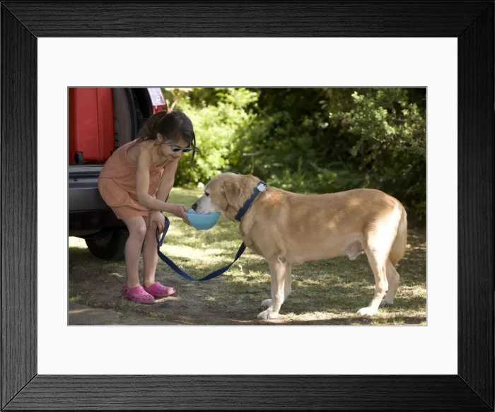 Framed Print : Picture No. 10775383