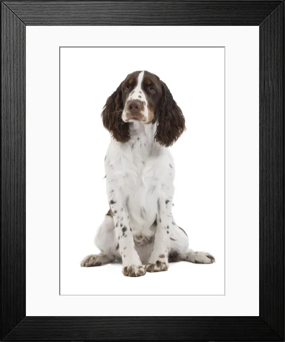 Framed Print : Picture No. 10774761 Framed Print : Picture No. 10774761