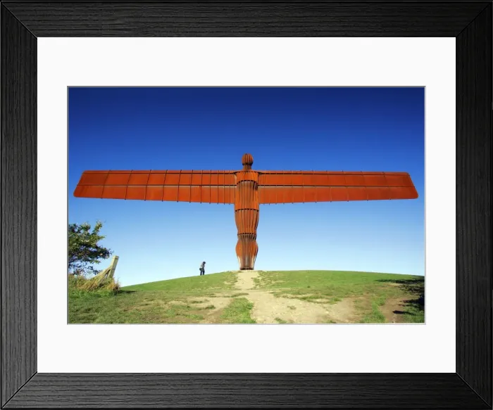 Framed Print : Picture No. 10789934 Framed Print : Picture No. 10789934