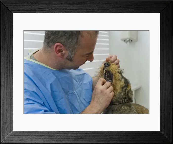 Framed Print : Picture No. 10776586 Framed Print : Picture No. 10776586
