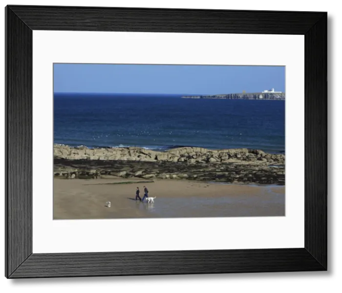 Framed Print : Picture No. 10790794 Framed Print : Picture No. 10790794