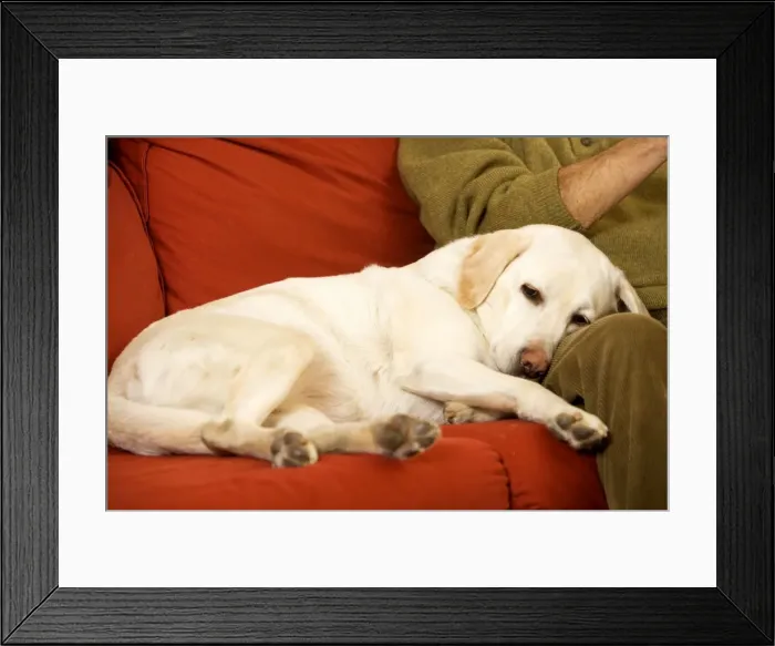 Framed Print : Picture No. 10769705