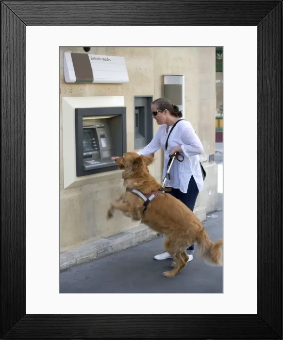 Framed Print : Picture No. 10769686 Framed Print : Picture No. 10769686