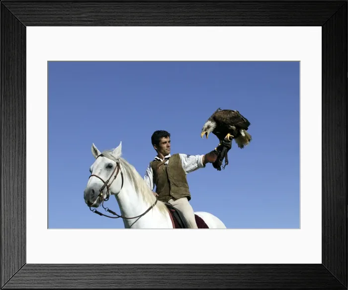 Framed Print : Picture No. 10787279 Framed Print : Picture No. 10787279