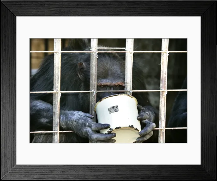 Framed Print : Picture No. 10787341 Framed Print : Picture No. 10787341