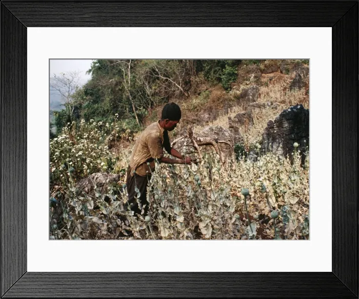 Framed Print : Picture No. 10847857 Framed Print : Picture No. 10847857