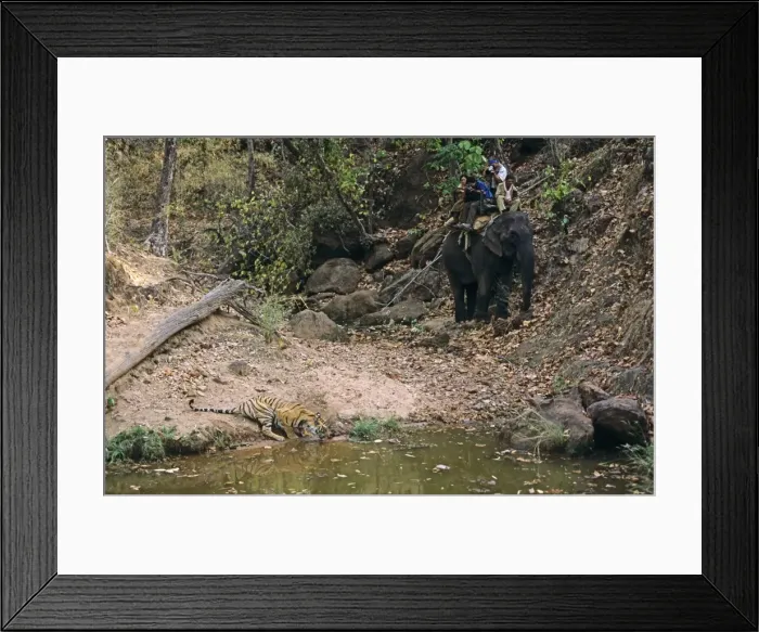 Framed Print : Picture No. 10788605 Framed Print : Picture No. 10788605