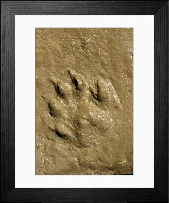 Framed Print : Picture No. 10787263 Framed Print : Picture No. 10787263
