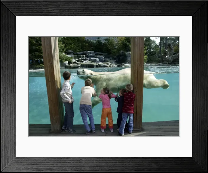 Framed Print : Picture No. 10787294