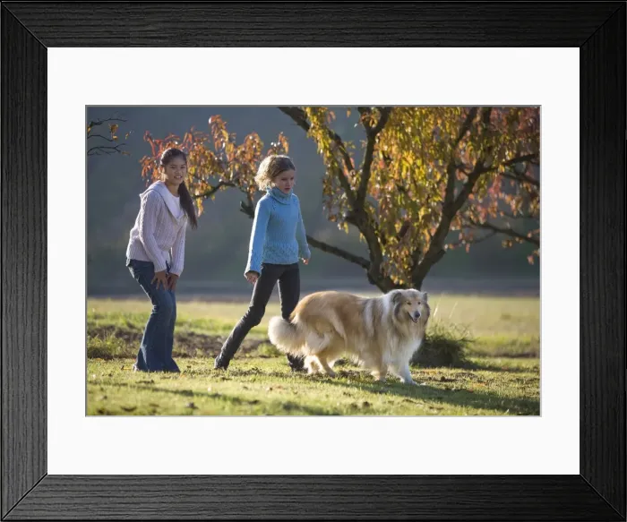 Framed Print : Picture No. 10772753