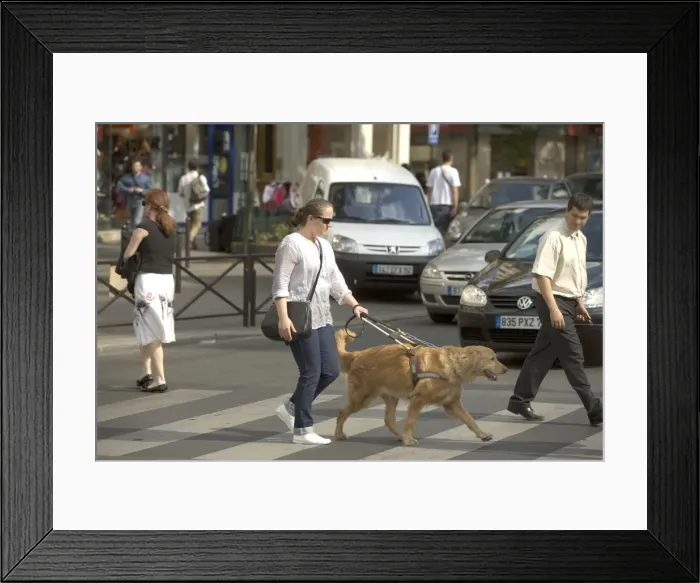 Framed Print : Picture No. 10769684 Framed Print : Picture No. 10769684