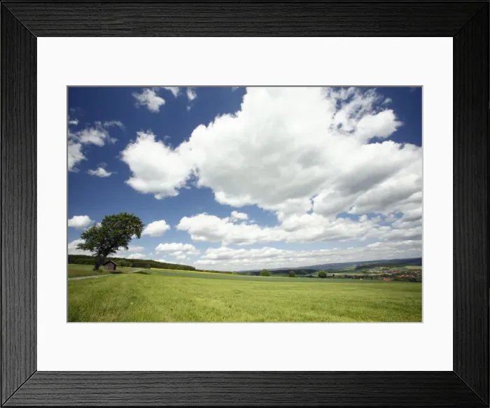Framed Print : Picture No. 10791860 Framed Print : Picture No. 10791860