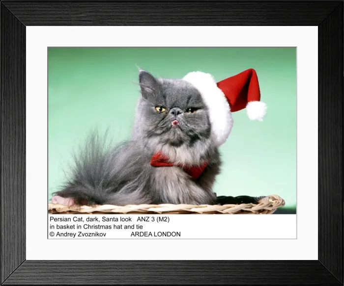 Framed Print : Picture No. 10847917 Framed Print : Picture No. 10847917