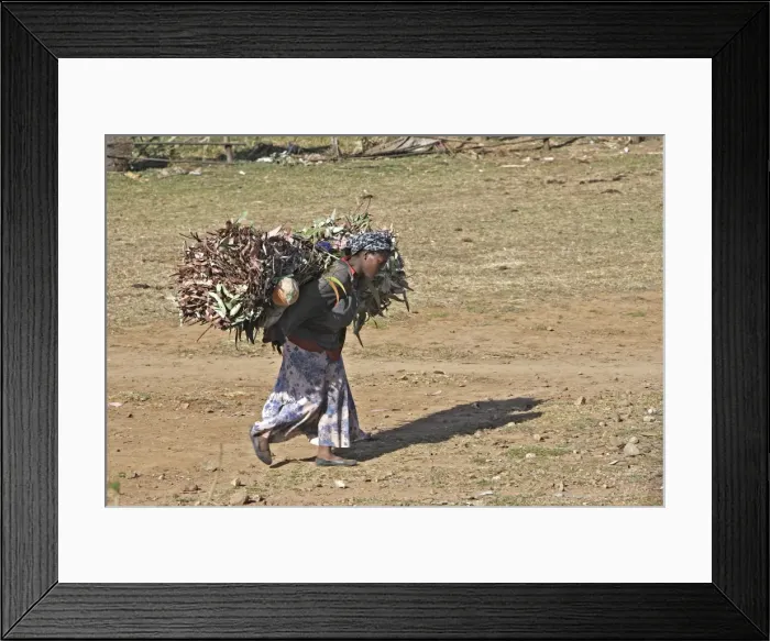 Framed Print : Picture No. 10777527 Framed Print : Picture No. 10777527
