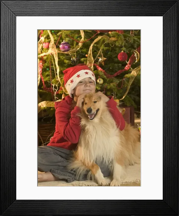 Framed Print : Picture No. 10769962 Framed Print : Picture No. 10769962