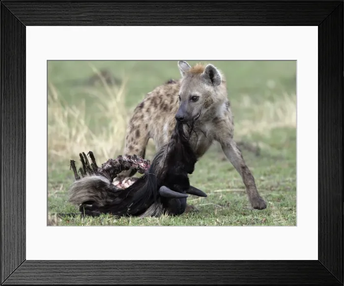 Framed Print : Picture No. 10787227 Framed Print : Picture No. 10787227