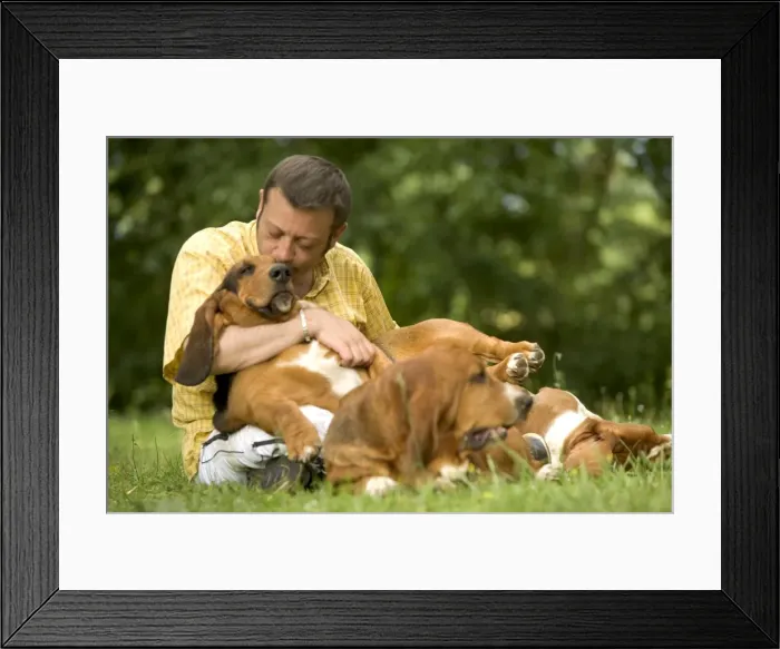 Framed Print : Picture No. 10769699 Framed Print : Picture No. 10769699
