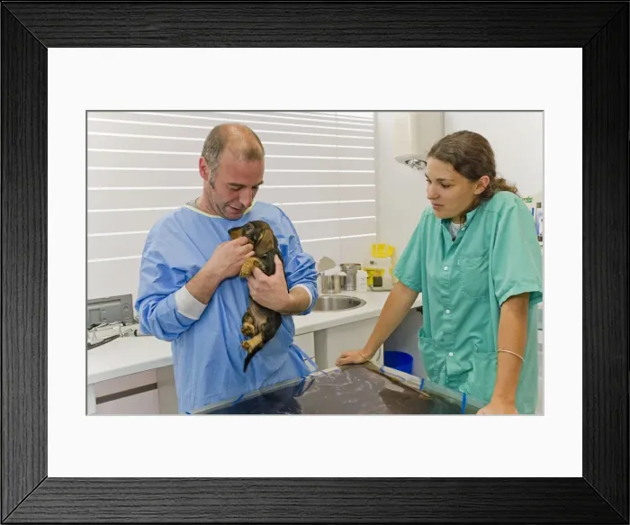 Framed Print : Picture No. 10776569 Framed Print : Picture No. 10776569