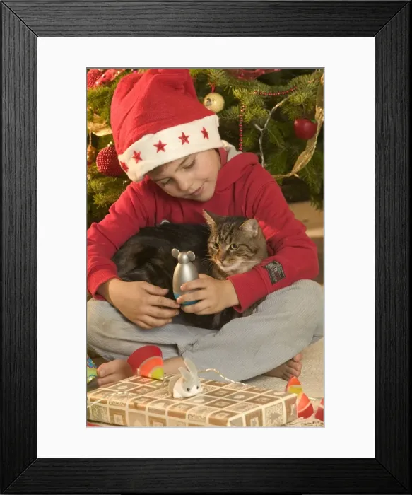 Framed Print : Picture No. 10769966 Framed Print : Picture No. 10769966