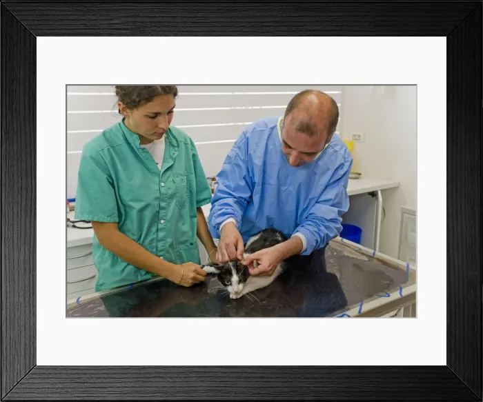 Framed Print : Picture No. 10776558 Framed Print : Picture No. 10776558