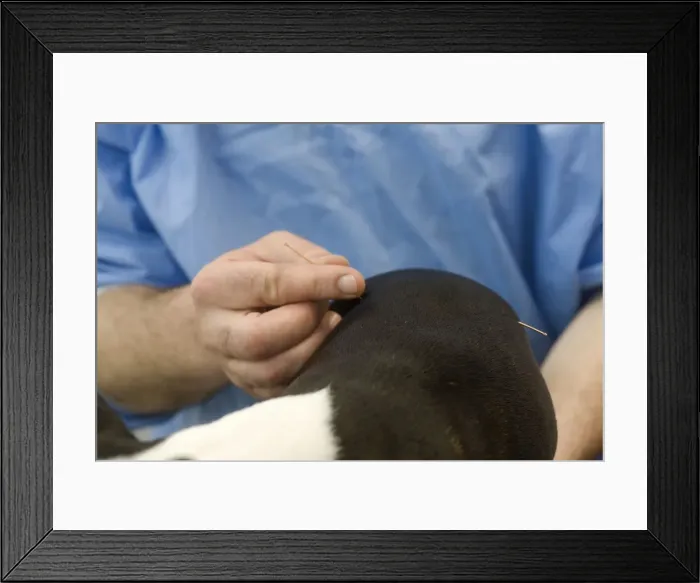Framed Print : Picture No. 10776611 Framed Print : Picture No. 10776611