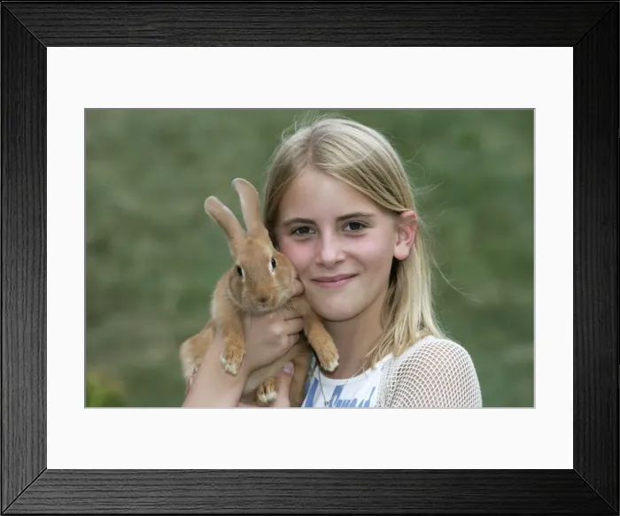 Framed Print : Picture No. 10787316 Framed Print : Picture No. 10787316