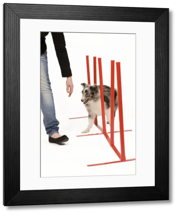 Framed Print : Picture No. 10775900 Framed Print : Picture No. 10775900