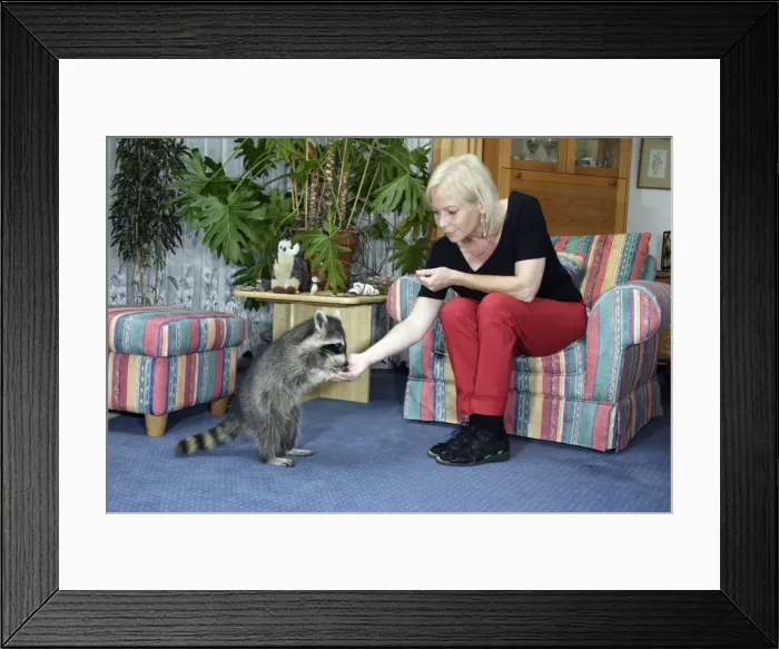Framed Print : Picture No. 10789244 Framed Print : Picture No. 10789244
