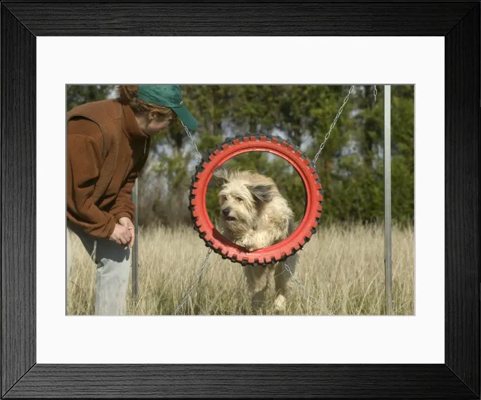 Framed Print : Picture No. 10777083 Framed Print : Picture No. 10777083