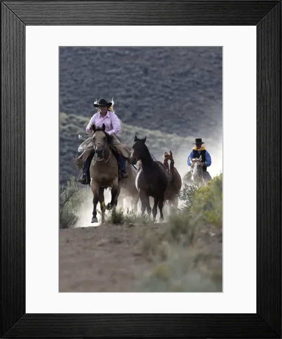 Framed Print : Picture No. 10778377 Framed Print : Picture No. 10778377