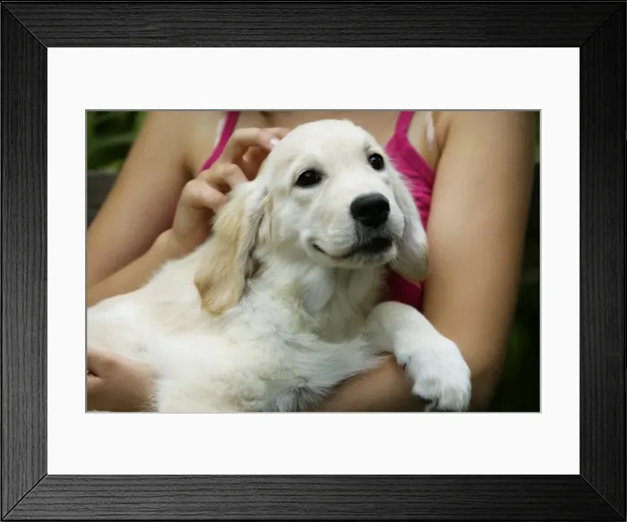 Framed Print : Picture No. 10772638 Framed Print : Picture No. 10772638