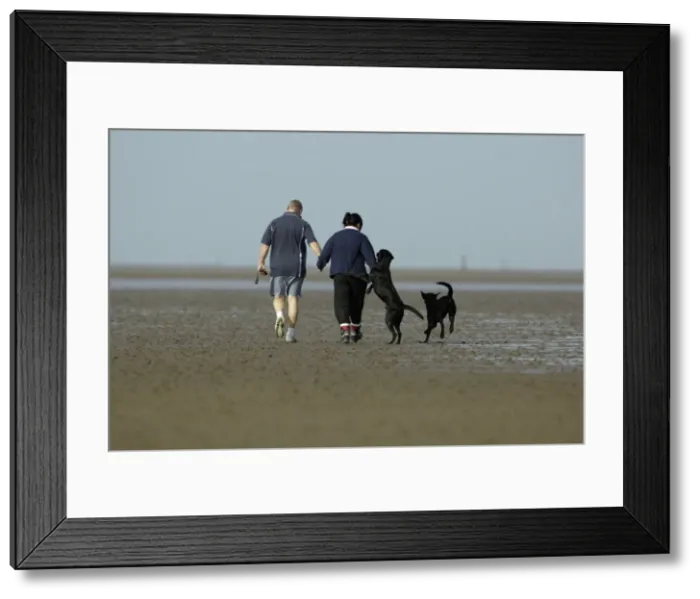 Framed Print : Picture No. 10790798 Framed Print : Picture No. 10790798