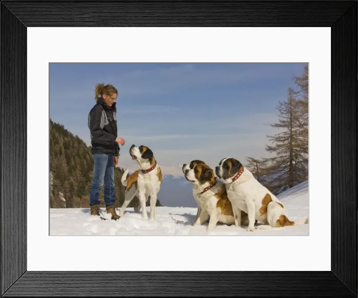 Framed Print : Picture No. 10772933 Framed Print : Picture No. 10772933