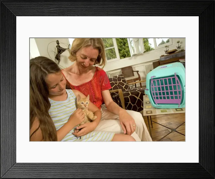 Framed Print : Picture No. 10769703 Framed Print : Picture No. 10769703