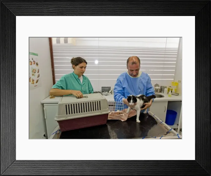 Framed Print : Picture No. 10776557 Framed Print : Picture No. 10776557