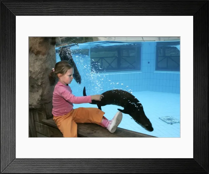 Framed Print : Picture No. 10787299 Framed Print : Picture No. 10787299