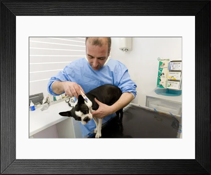 Framed Print : Picture No. 10776614 Framed Print : Picture No. 10776614