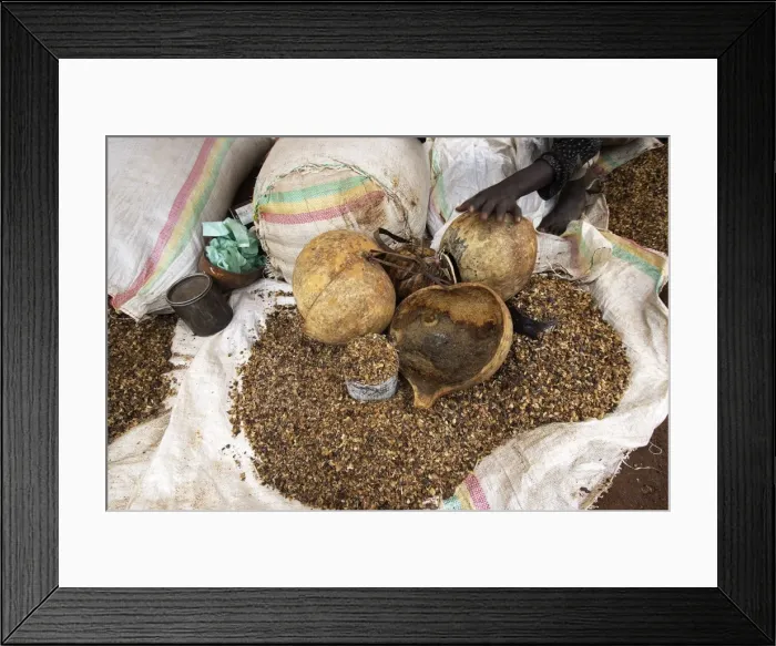 Framed Print : Picture No. 10778963