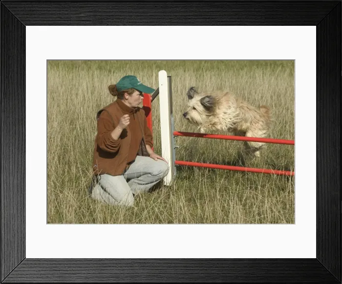 Framed Print : Picture No. 10777084