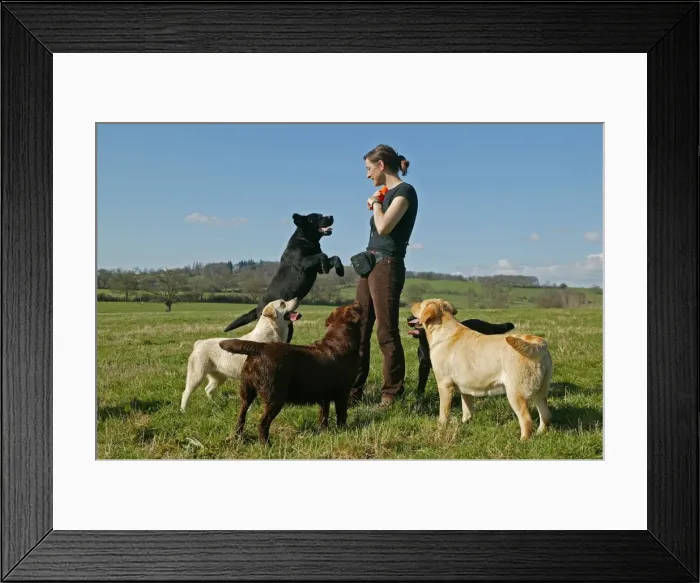 Framed Print : Picture No. 10769769 Framed Print : Picture No. 10769769