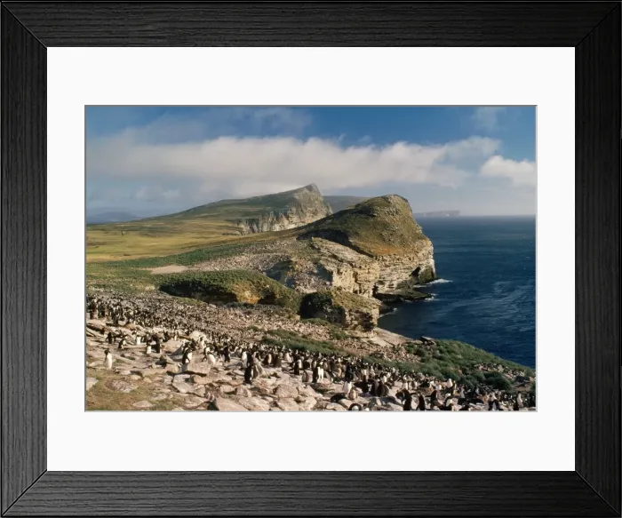 Framed Print : Picture No. 10847843 Framed Print : Picture No. 10847843